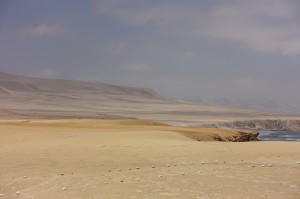 DSC05612  
